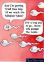 tonsils